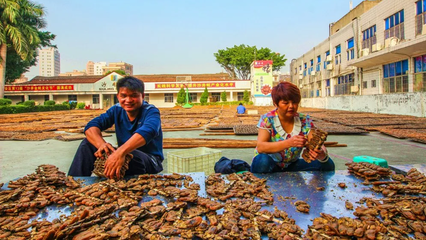 重磅!就在明天!沙井金蠔節(jié)盛大開幕!20余項(xiàng)精彩活動(dòng)即將上線!