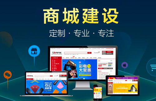 專(zhuān)業(yè)商城建設(shè)